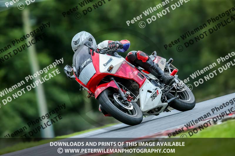 PJ Motorsport 2019;anglesey;brands hatch;cadwell park;croft;donington park;enduro digital images;event digital images;eventdigitalimages;mallory;no limits;oulton park;peter wileman photography;racing digital images;silverstone;snetterton;trackday digital images;trackday photos;vmcc banbury run;welsh 2 day enduro
